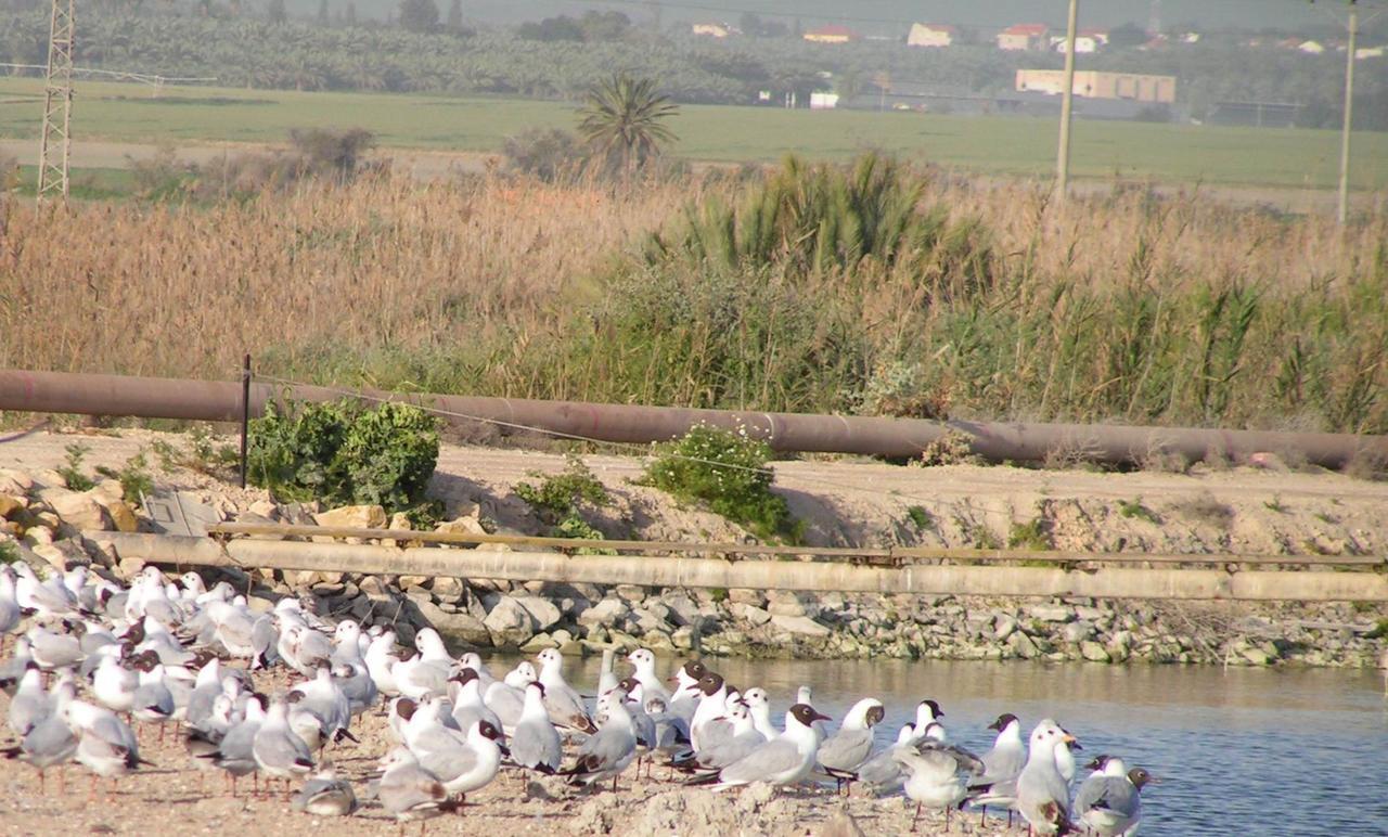 Jordan Valley Birding Lodge Kefar Ruppin Buitenkant foto