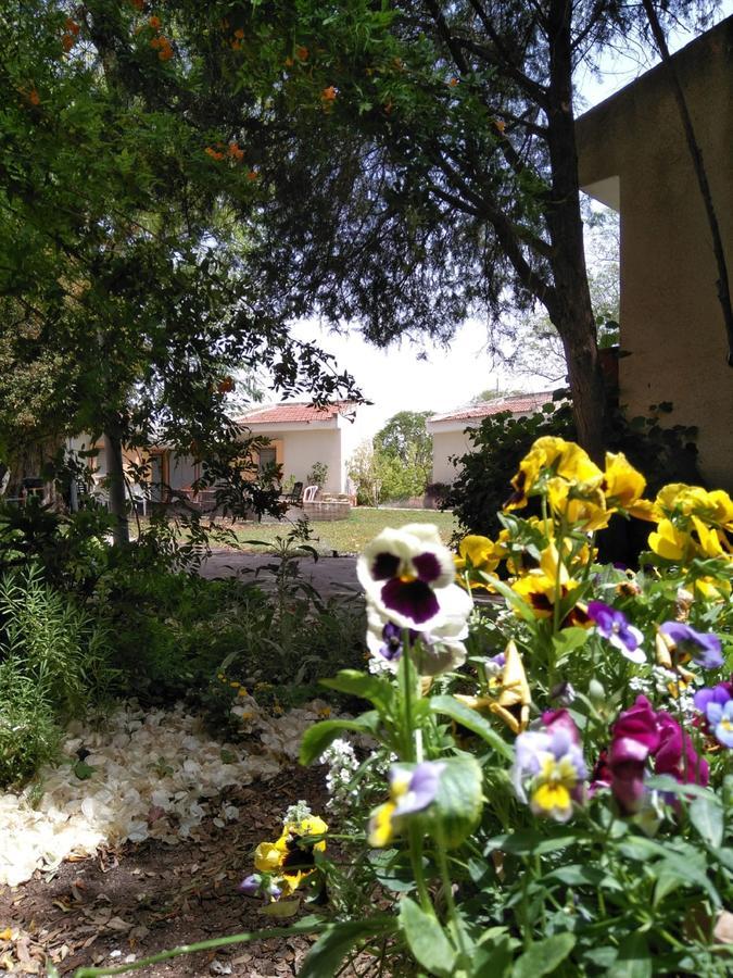 Jordan Valley Birding Lodge Kefar Ruppin Buitenkant foto